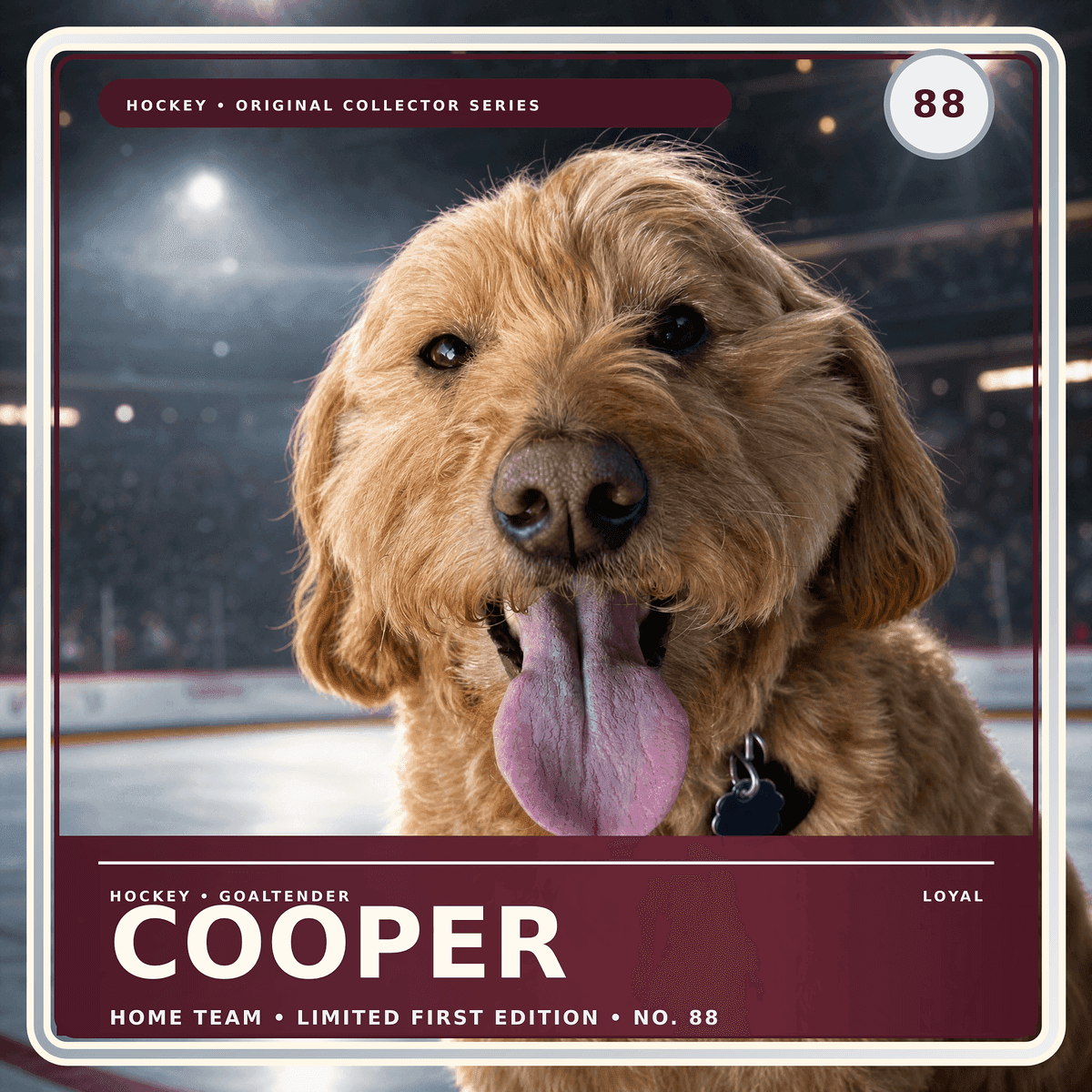 All-Star Trading Card custom pet portrait example